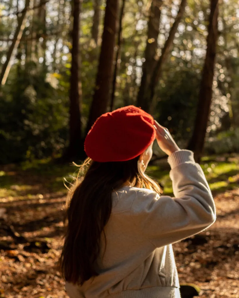 Classic Wool Beret