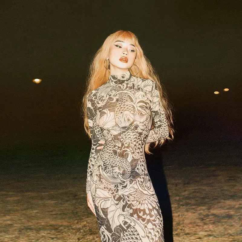 Long Sleeve Mesh Streetwear Bodycon Long Dress