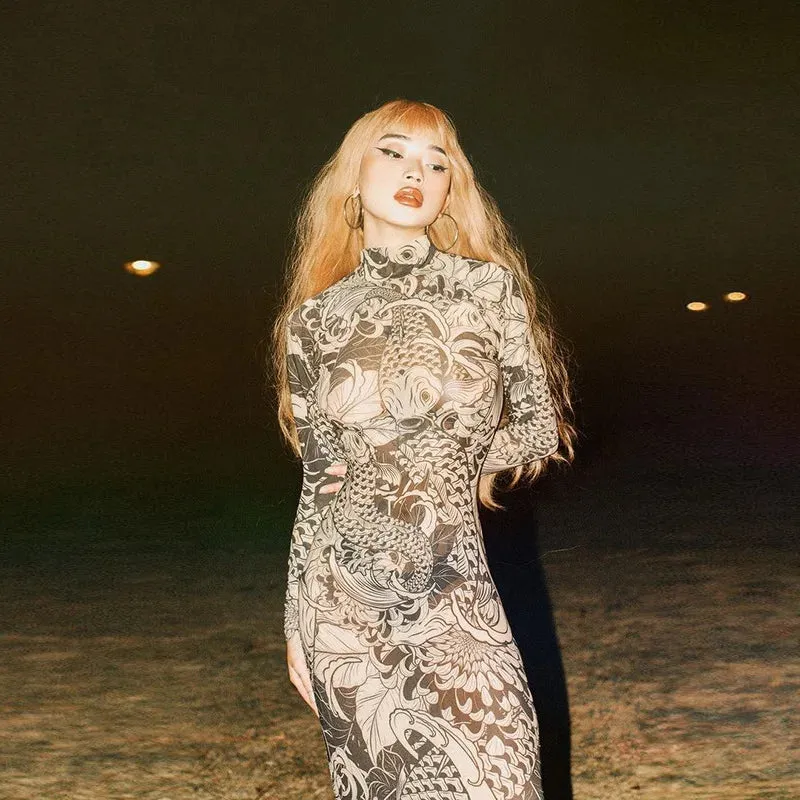 Long Sleeve Mesh Streetwear Bodycon Long Dress