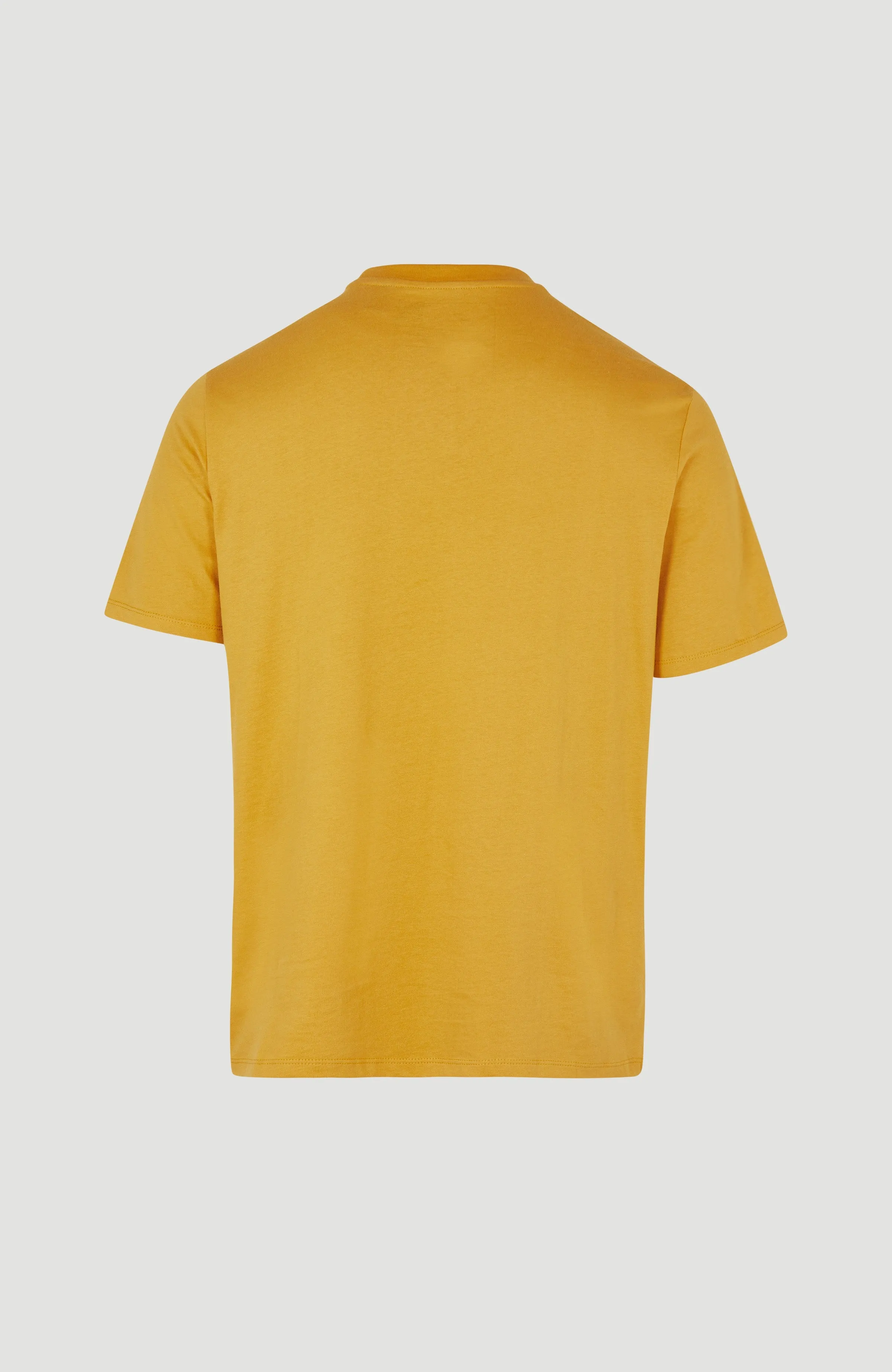 O'Neill Logo T-Shirt | Nugget