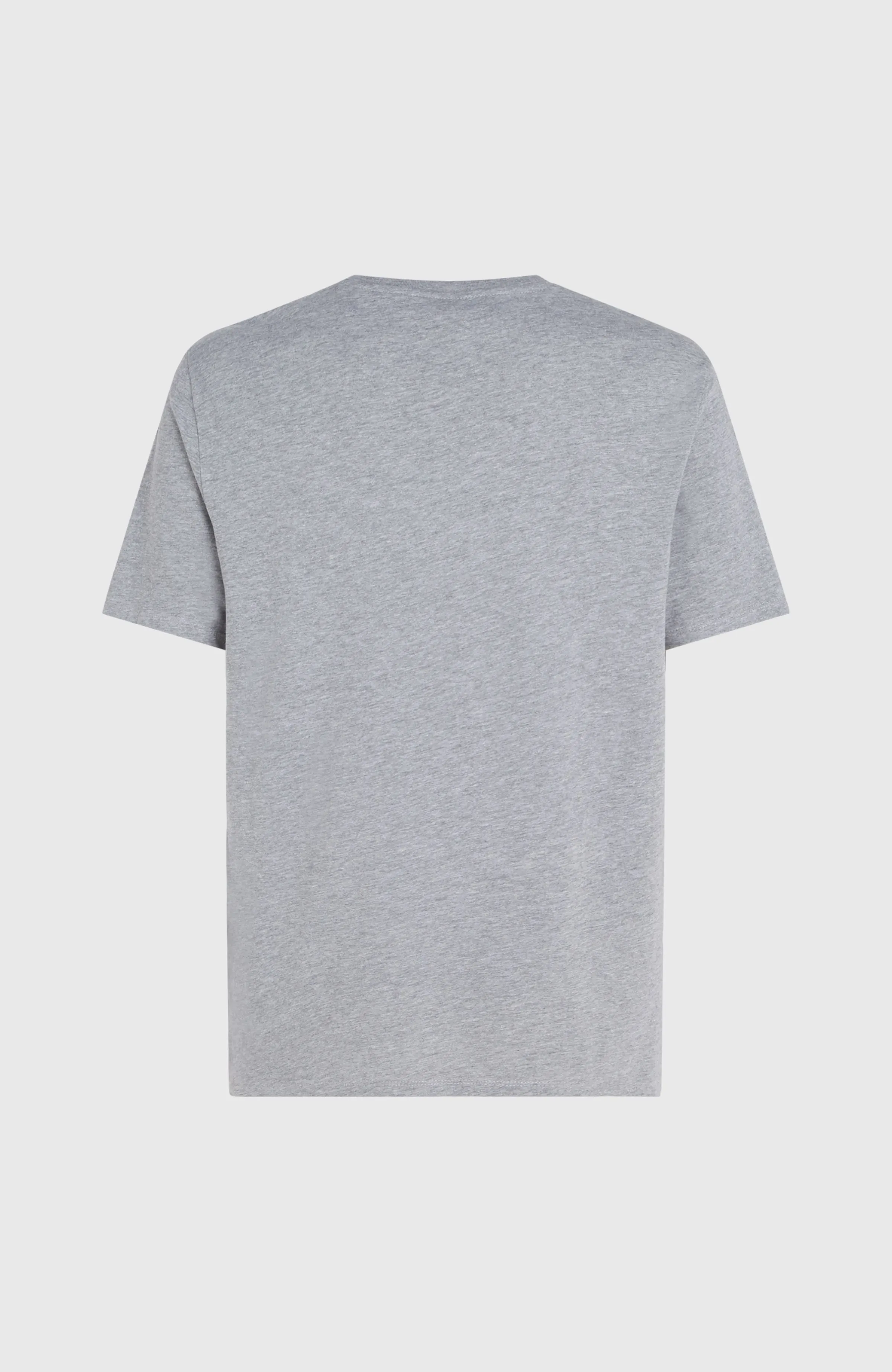 O'Neill Logo T-Shirt | Silver Melee -A