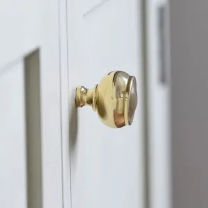 Polished Brass Ovolo Cabinet Knob