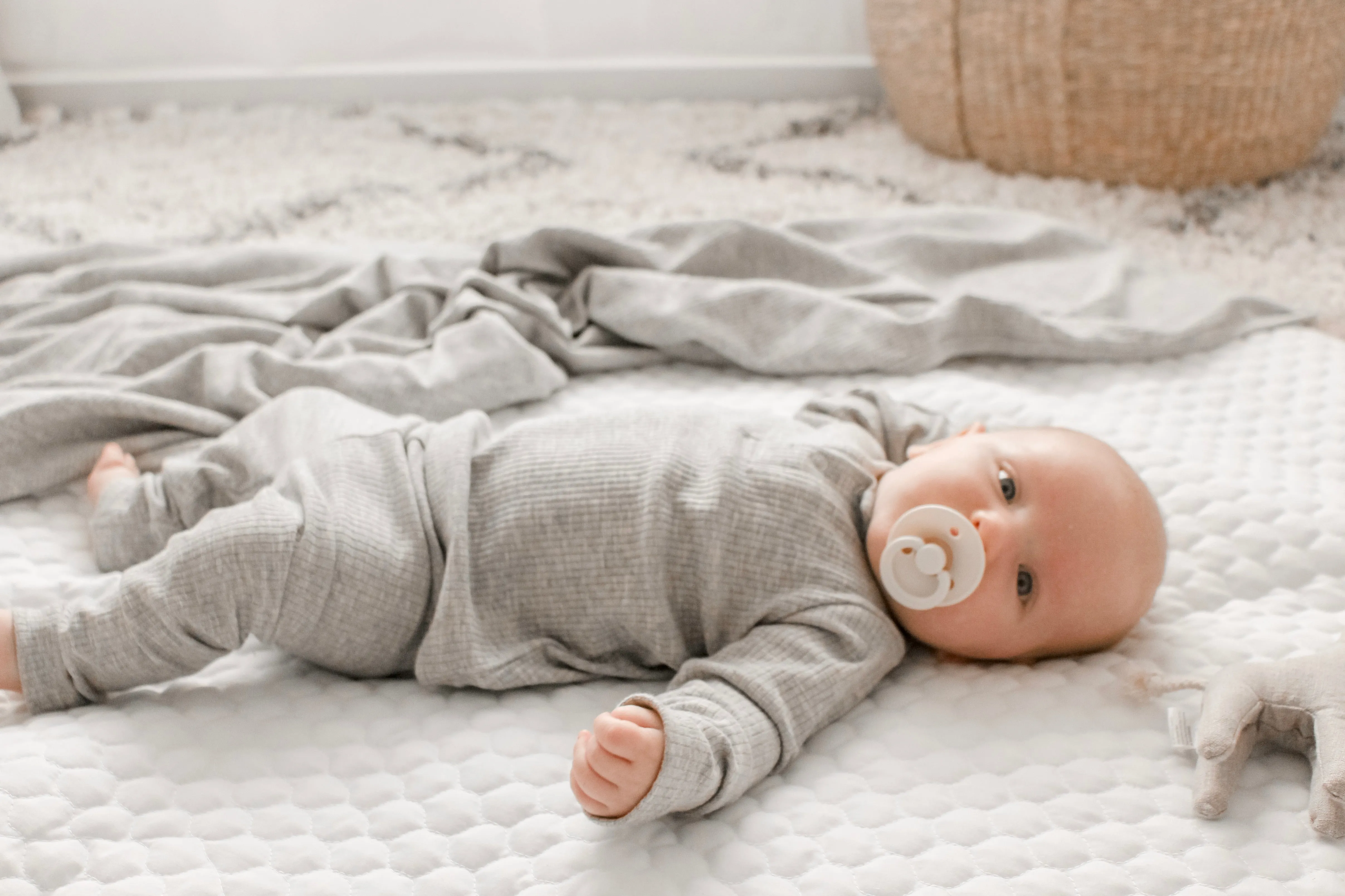 Ponchik Babies   Kids - Cotton Leggings - Koala Rib
