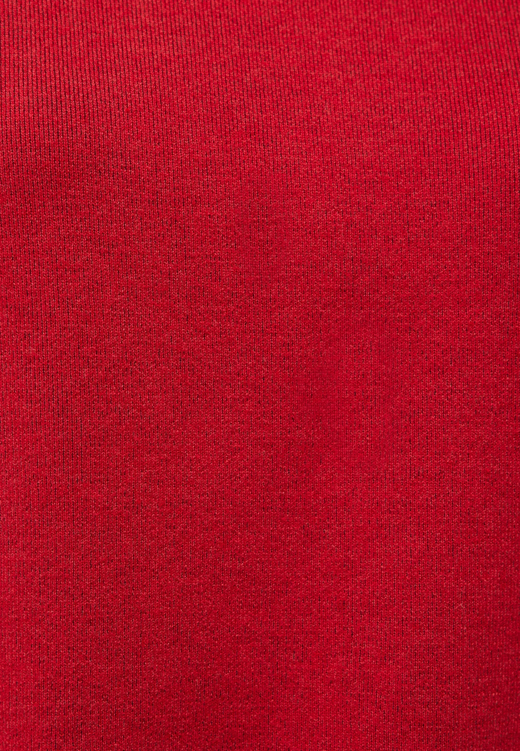 PULLOVER | Pullover mit Stehkragen