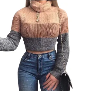 Tri-Color Knitted Turtleneck Sweater