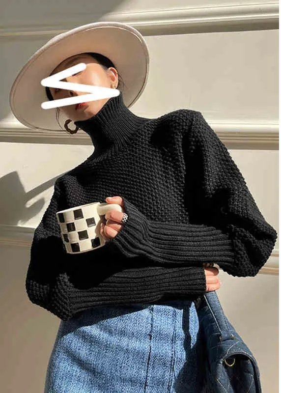 Turtle Neckline Pullover Knit Sweater