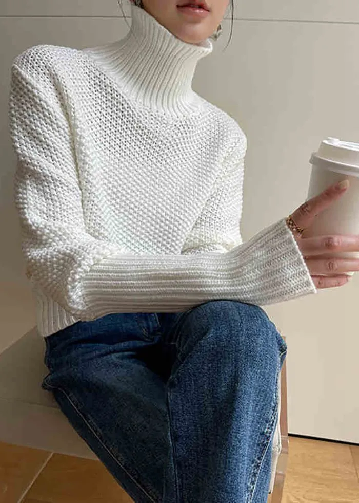 Turtle Neckline Pullover Knit Sweater