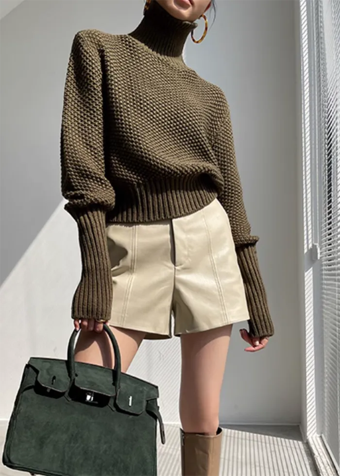 Turtle Neckline Pullover Knit Sweater