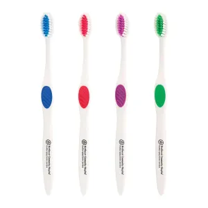 Winter Accent Toothbrush